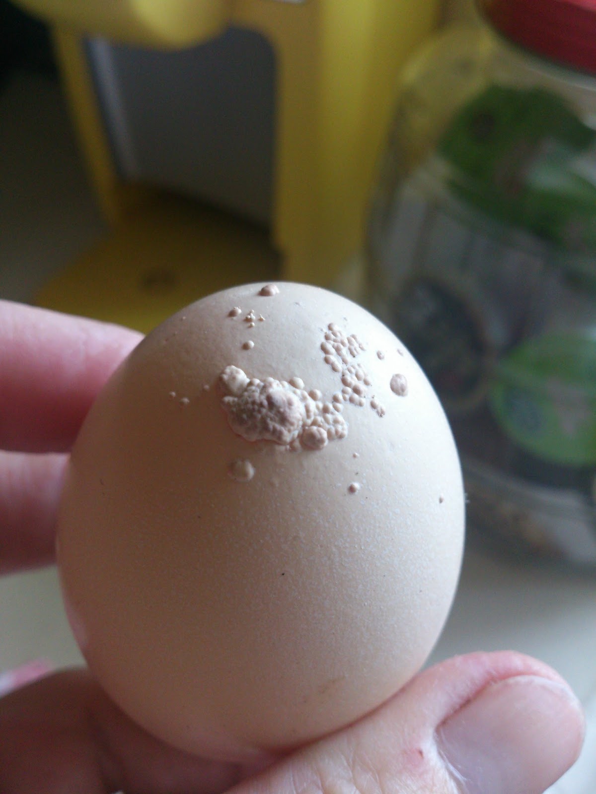 Sunny Simple Life Monday Musings from the Homestead